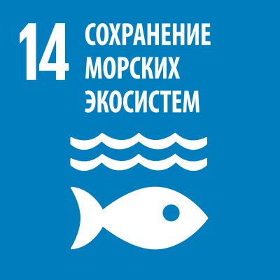 ЦУР 14.png