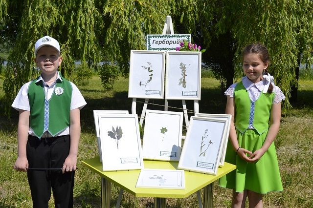 Зеленоклассники