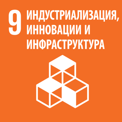 ЦУР 9.png