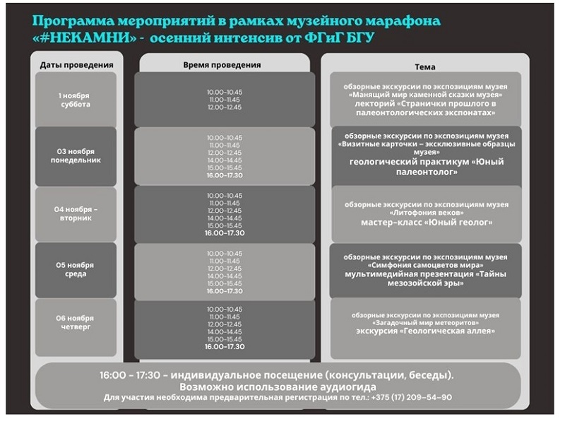Инфографика Программа БГУ
